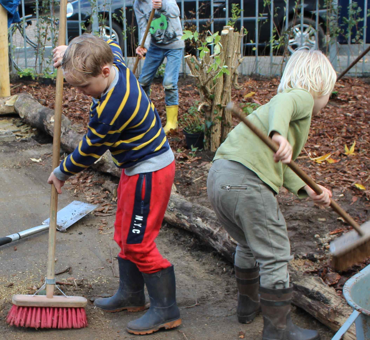 Végétalisation cour d'école avec les enfants